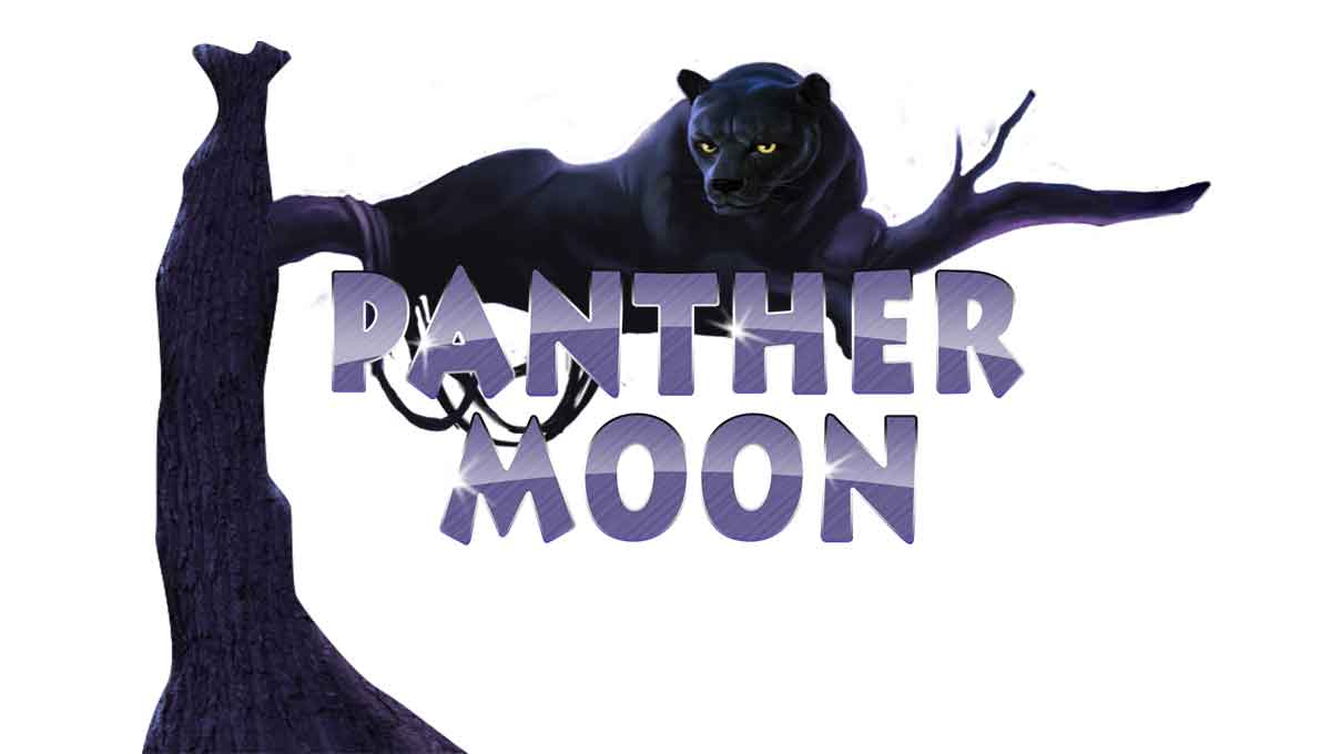 Rasakan Petualangan Malam Bersama Panther Moon
